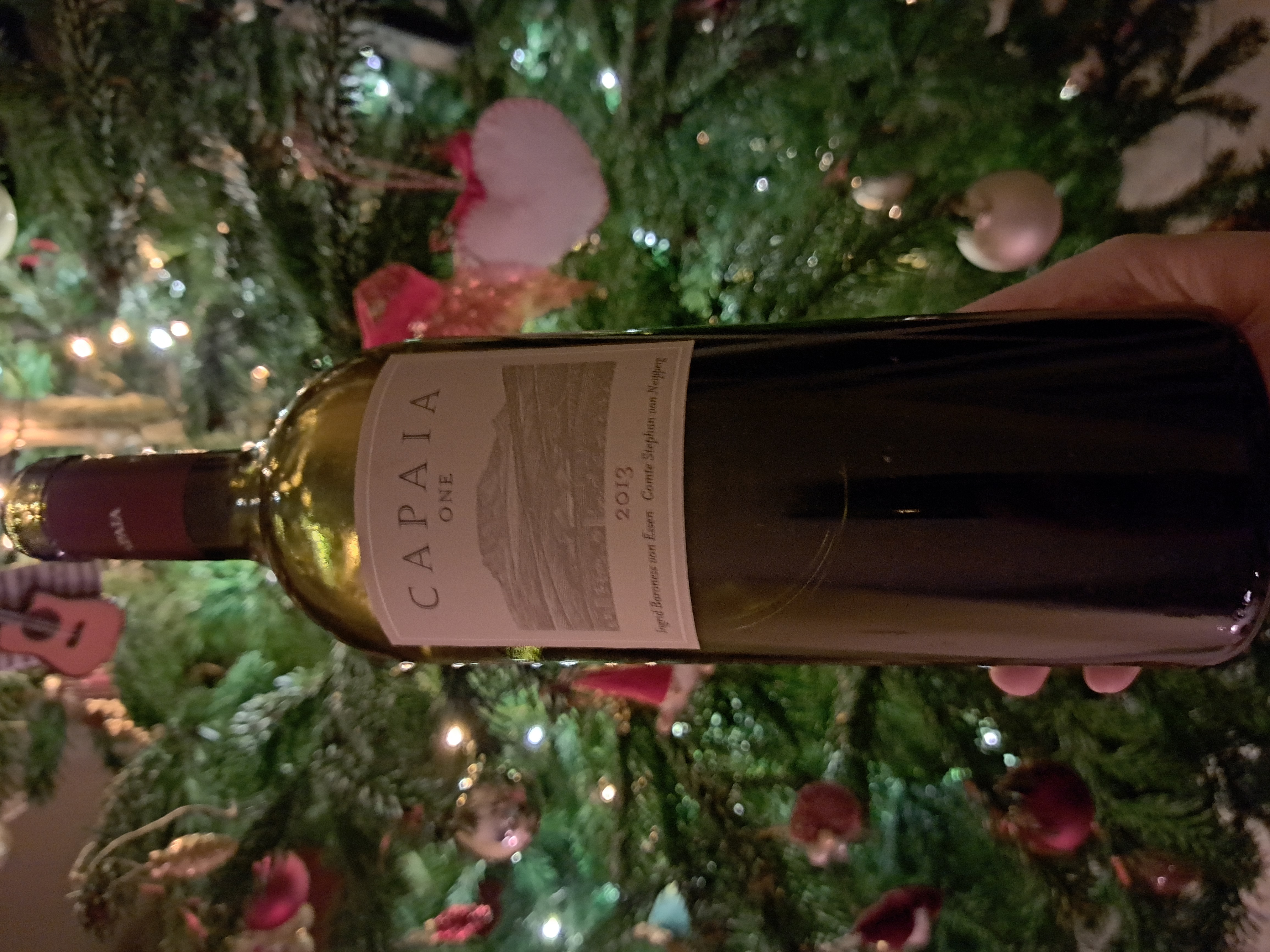 2013 Capaia One