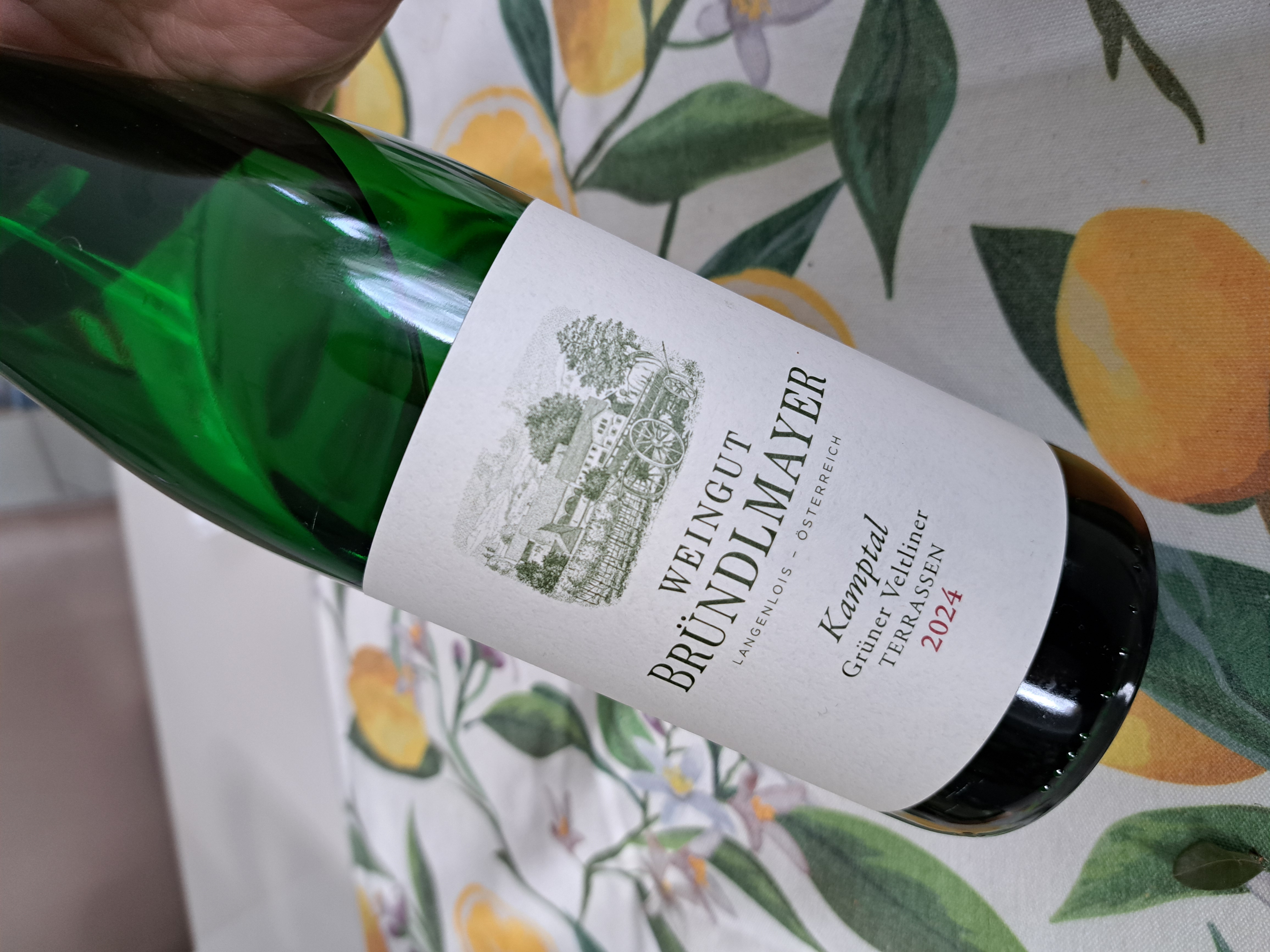 2024 Bründlmayer Grüner Veltliner Kamptal Terrassen