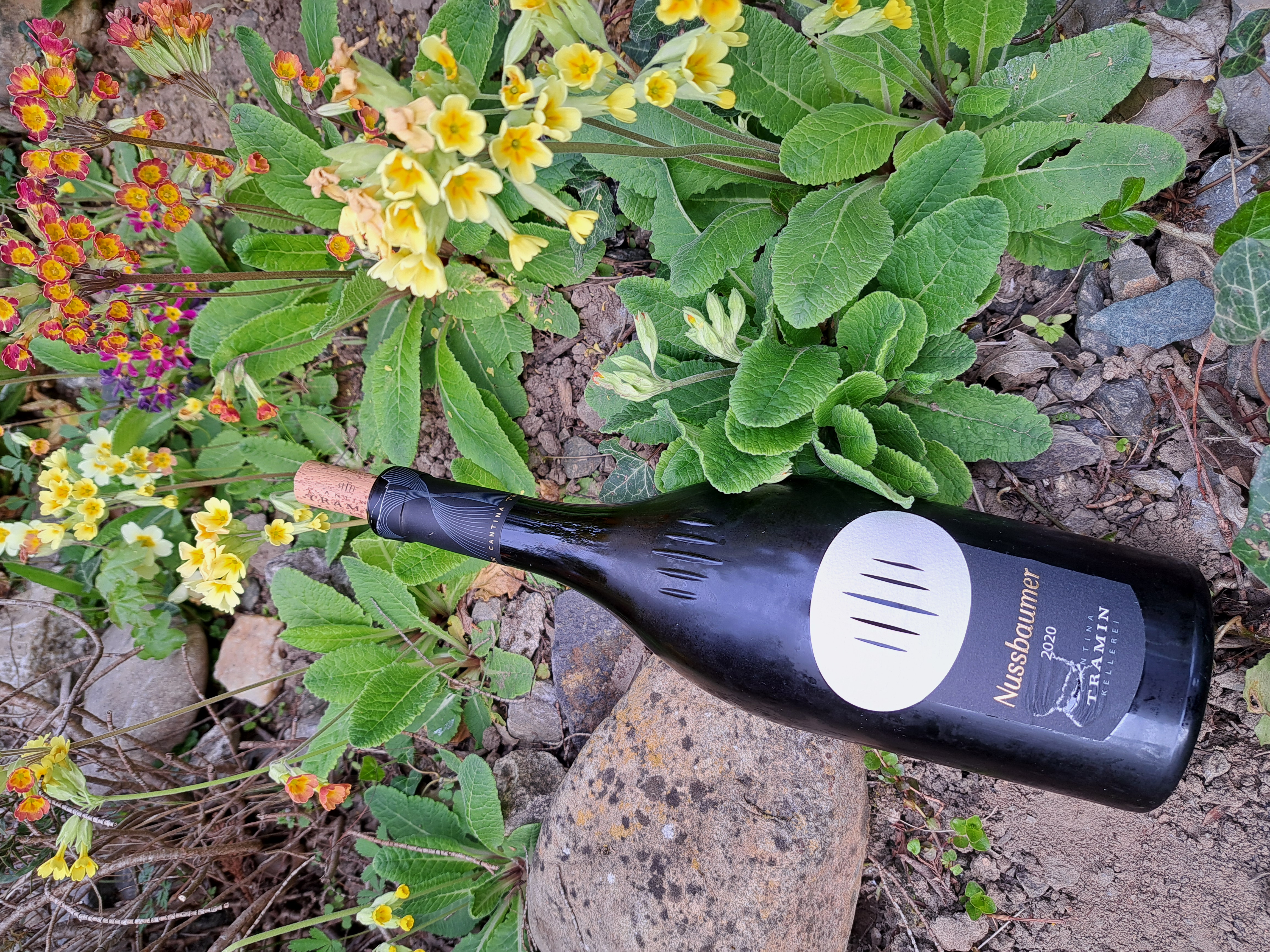 2020 Cantina Tramin Gewürztraminer Nussbaumer