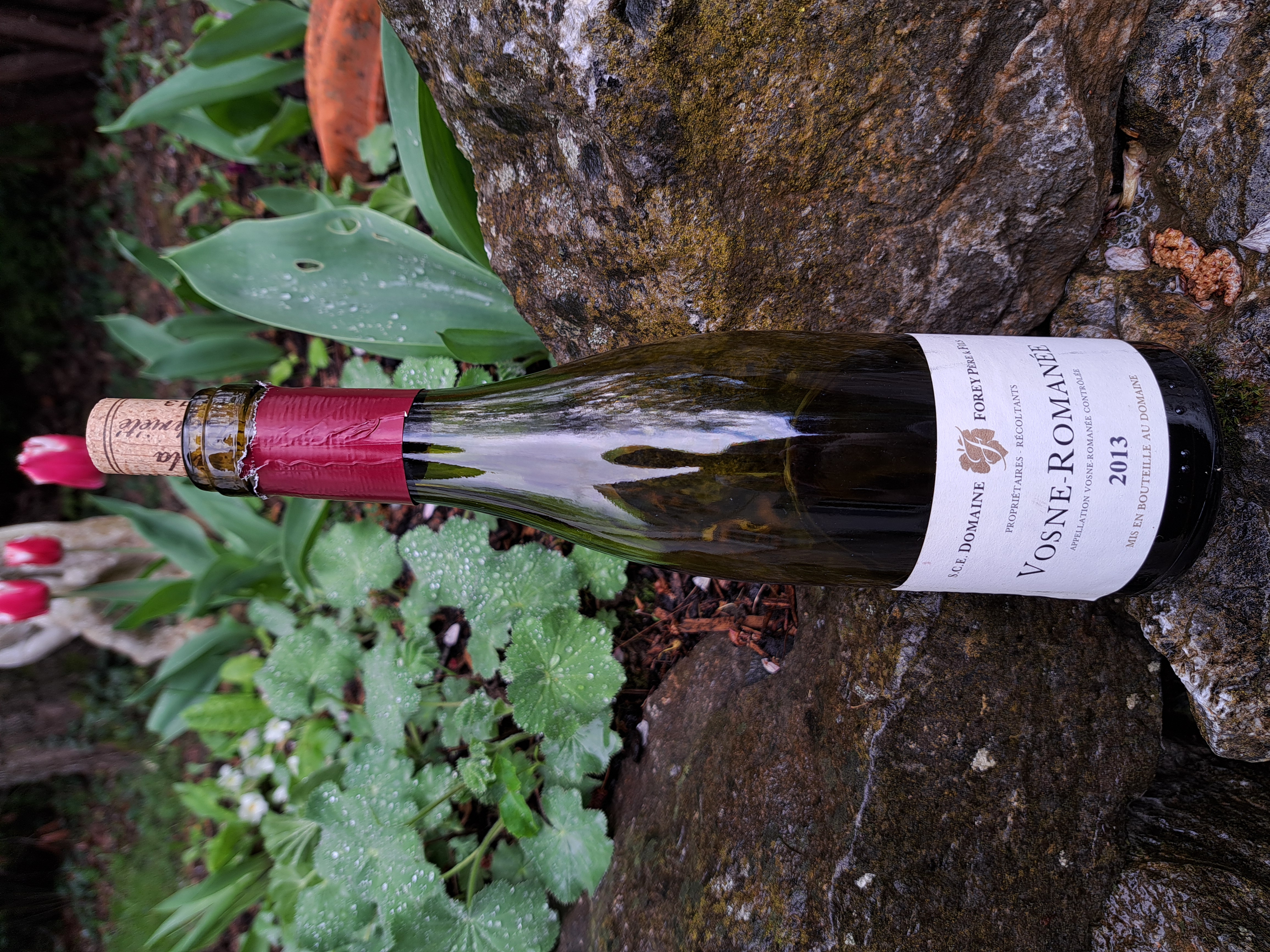 2013 Forey Père et Fils Vosne-Romanée