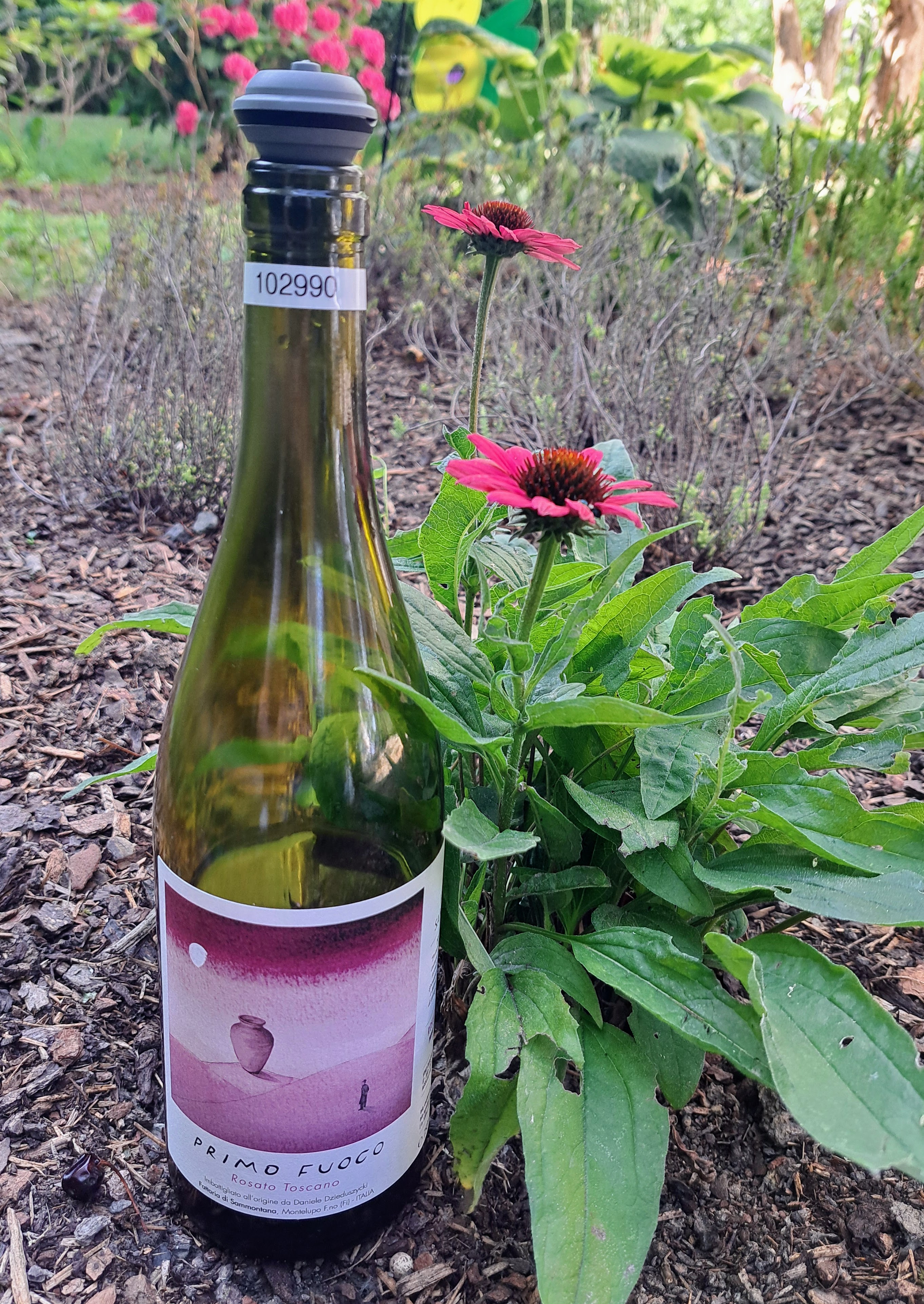2024 Fattoria di Sammontana Primo Fuoco Rosato